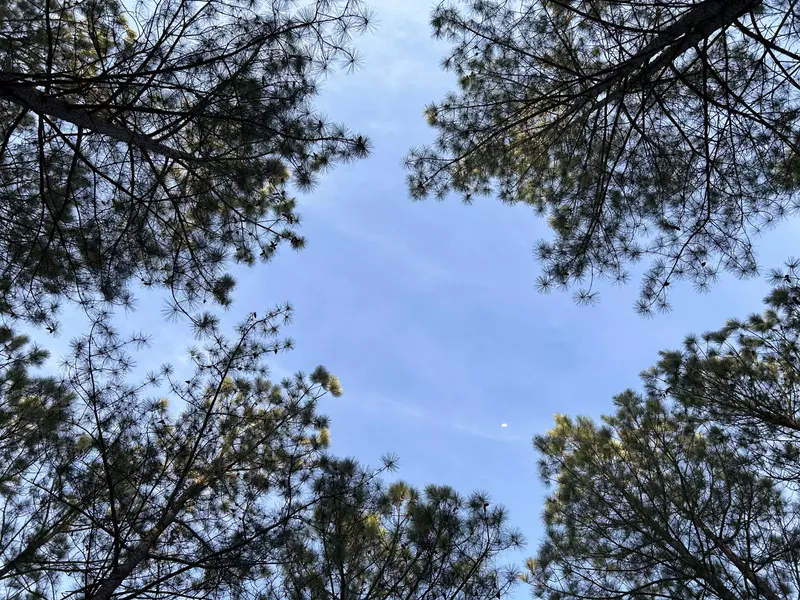 362 Cumberland CIR, Jasper, TN 37347