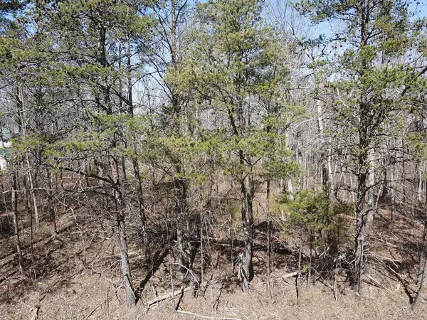 Cloudland, GA 30731,0 Bible Gulf RD