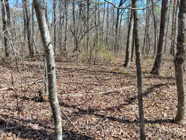 Graysville, TN 30726,02 Lakeside DR