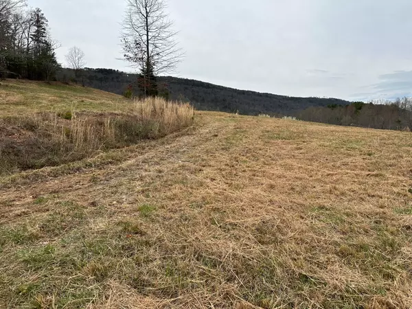 Evensville, TN 37332,Lot 29 Escape DR