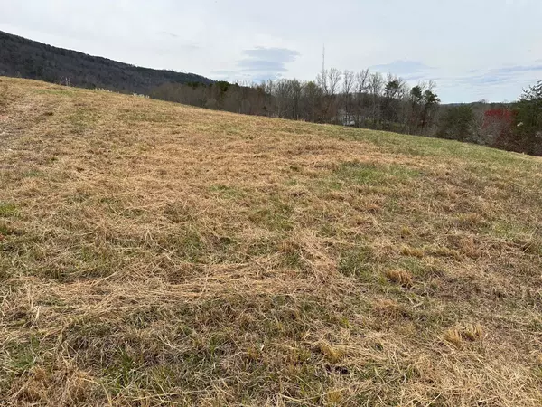 Evensville, TN 37332,Lot 29 Escape DR