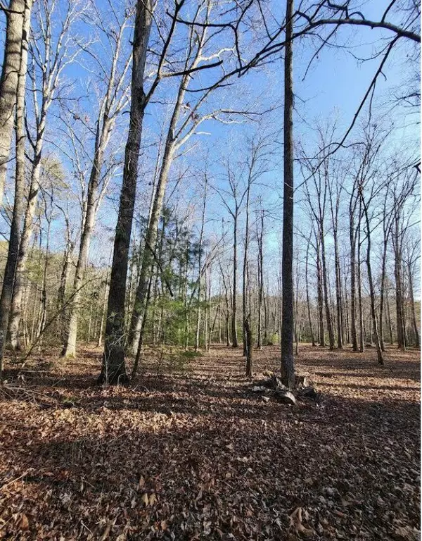 0 Happy Valley RD, Happy Valley, TN 37878