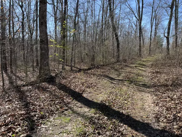 7 Deerhead RD, Dunlap, TN 37327