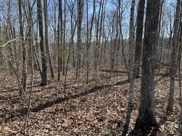 Dunlap, TN 37327,7 Deerhead RD