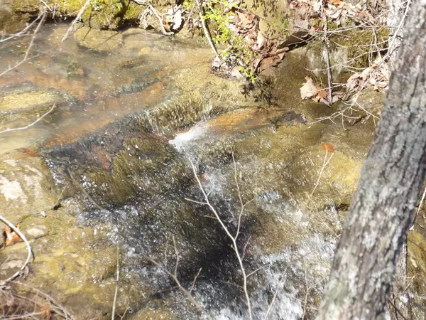 Pikeville, TN 37367,000 Big Springs Gap RD
