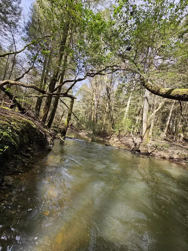 Gruetli Laager, TN 37339,206 Hickory DR