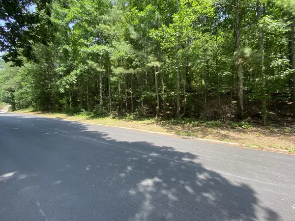 Cohutta, GA 30710,310 Golf View Dr DR