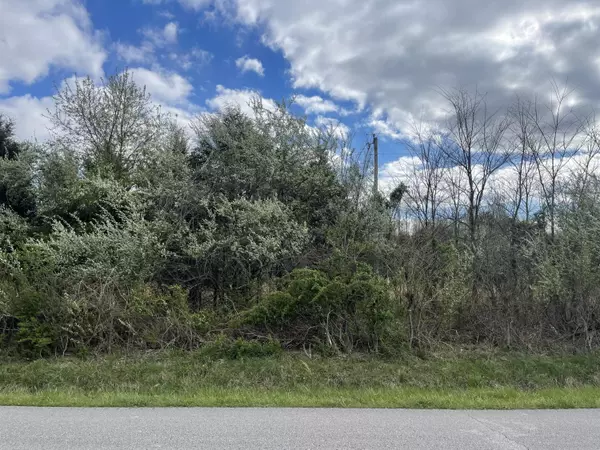 Decherd, TN 37324,0 Roarks Cove RD