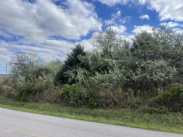 Decherd, TN 37324,0 Roarks Cove RD