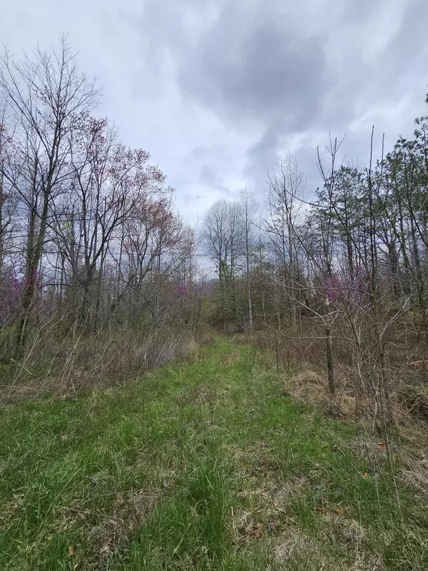 Palmer, TN 37365,2 Mcnabb RD