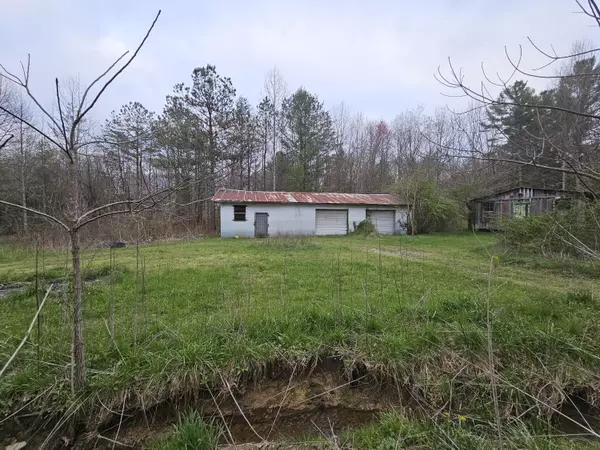 Palmer, TN 37365,2 Mcnabb RD
