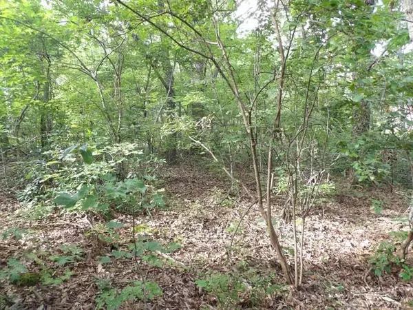 Crossville, TN 38572,0 Creek DR