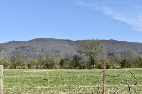 Pikeville, TN 37367,20093 Old State Hwy 28