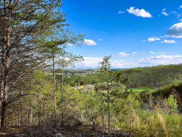 Tract 6 Owl Hollow Road, Mcdonald, TN 37353