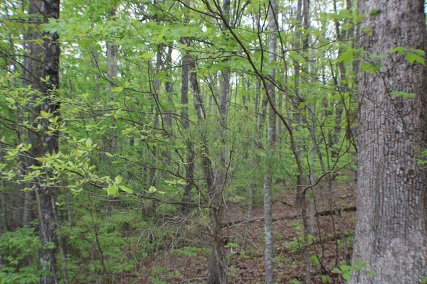 Rising Fawn, GA 30738,0 Stewart North LN