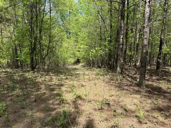 Jasper, TN 37347,250 Bear Trace DR