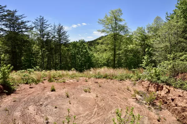 Copperhill, TN 37317,1011 Golf Course RD