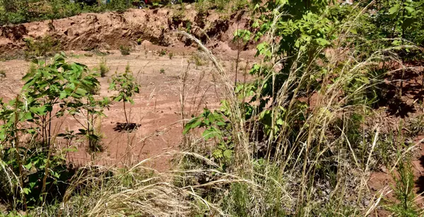 Copperhill, TN 37317,1011 Golf Course RD