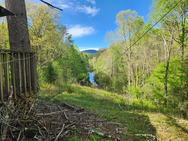 Copperhill, TN 37317,460 Tallent RD