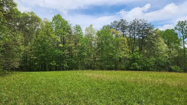 Pikeville, TN 37367,Lot 3 Beecher & Eunice Smith RD