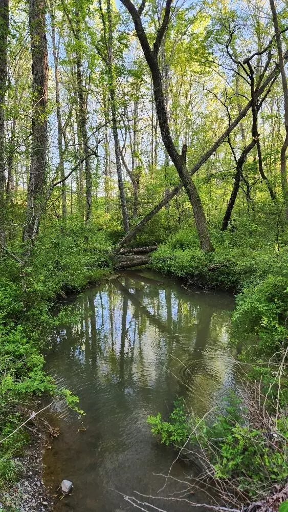 Pikeville, TN 37367,Lot 3 Beecher & Eunice Smith RD
