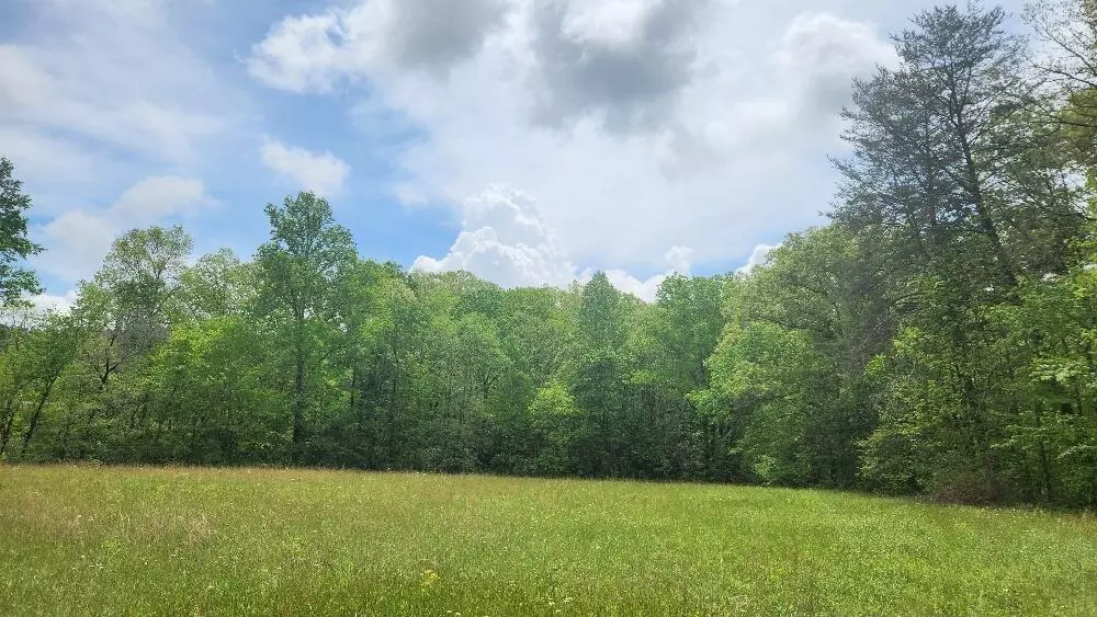 Pikeville, TN 37367,Lot 3 Beecher & Eunice Smith RD