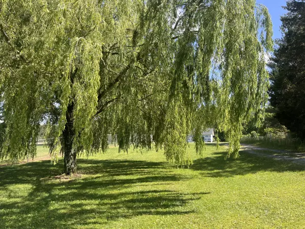 Bryant, AL 35958,0 County Road 315