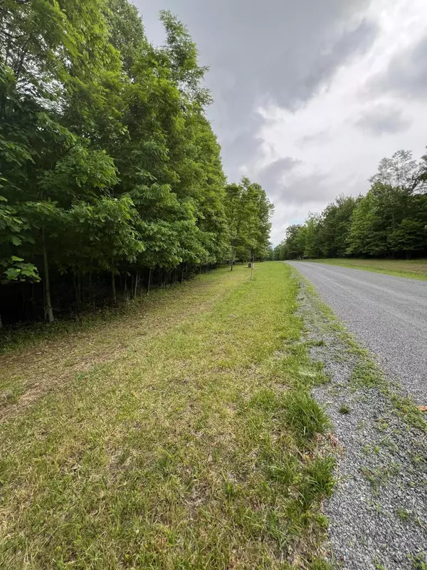 Dunlap, TN 37327,502 Wilderness WAY