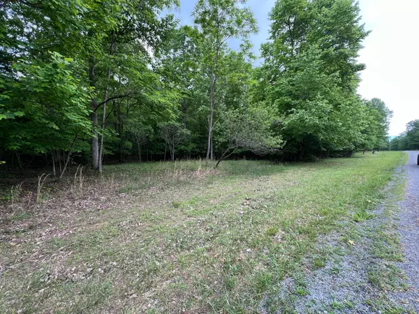 Dunlap, TN 37327,502 Wilderness WAY