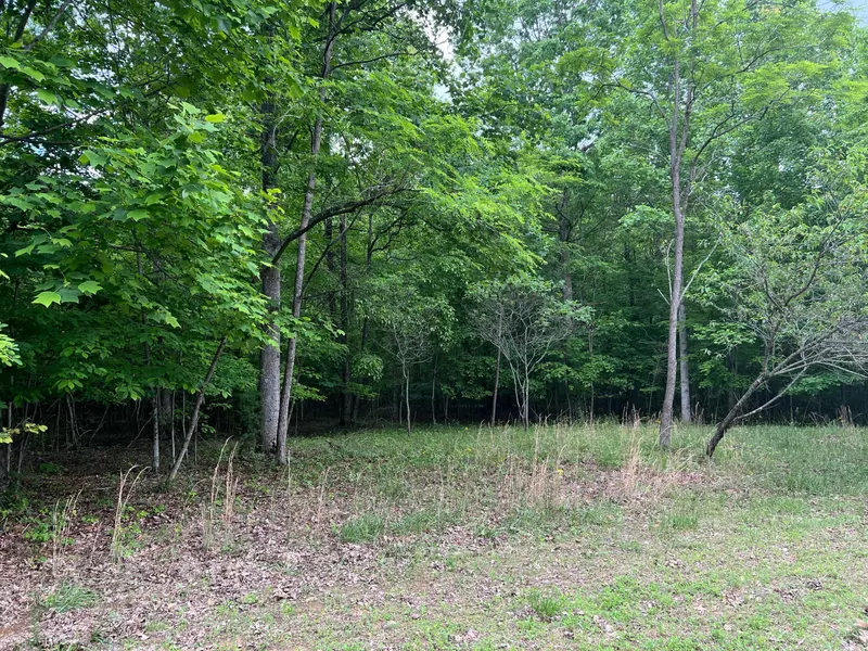 502 Wilderness WAY, Dunlap, TN 37327