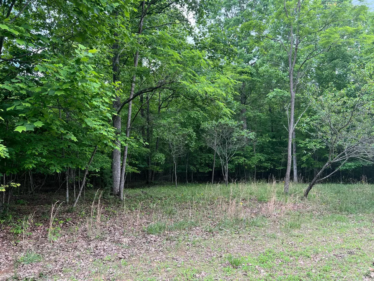 Dunlap, TN 37327,502 Wilderness WAY