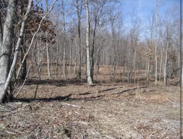 Dunlap, TN 37327,502 Wilderness WAY