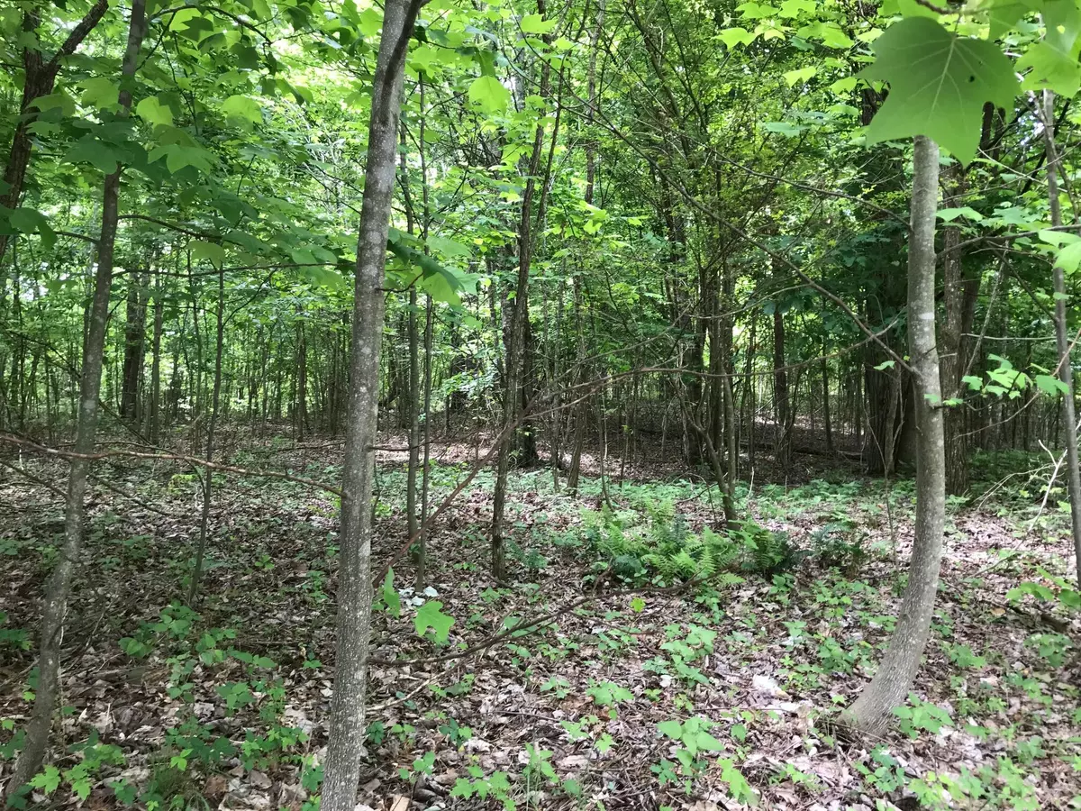 Dunlap, TN 37327,Lot 512 Wilderness Way