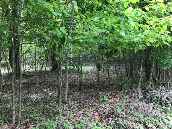 Dunlap, TN 37327,Lot 512 Wilderness Way