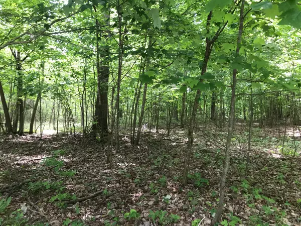 Dunlap, TN 37327,Lot 512 Wilderness Way