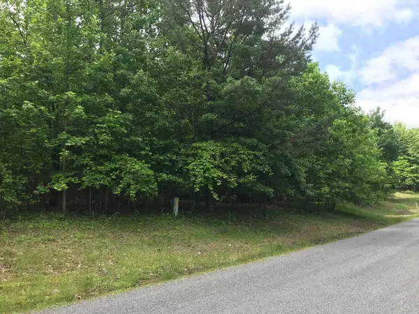 Dunlap, TN 37327,Lot 512 Wilderness Way