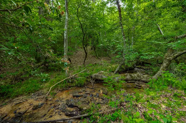 Soddy Daisy, TN 37379,0 Henson Gap RD