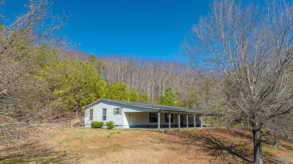 7855 Co Rd 137, Valley Head, AL 35989