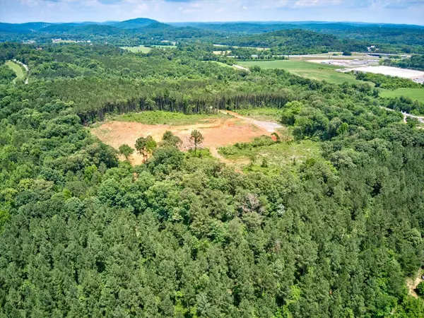 Ringgold, GA 30736,Lot 1 Greenwood RD