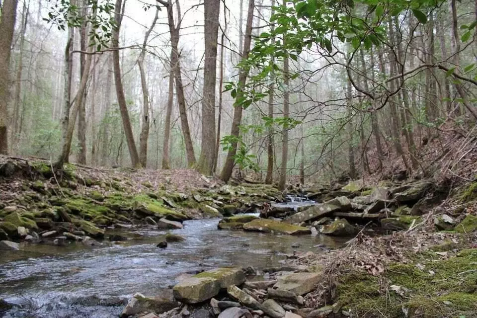 Dunlap, TN 37327,412 Tall Tree TRL