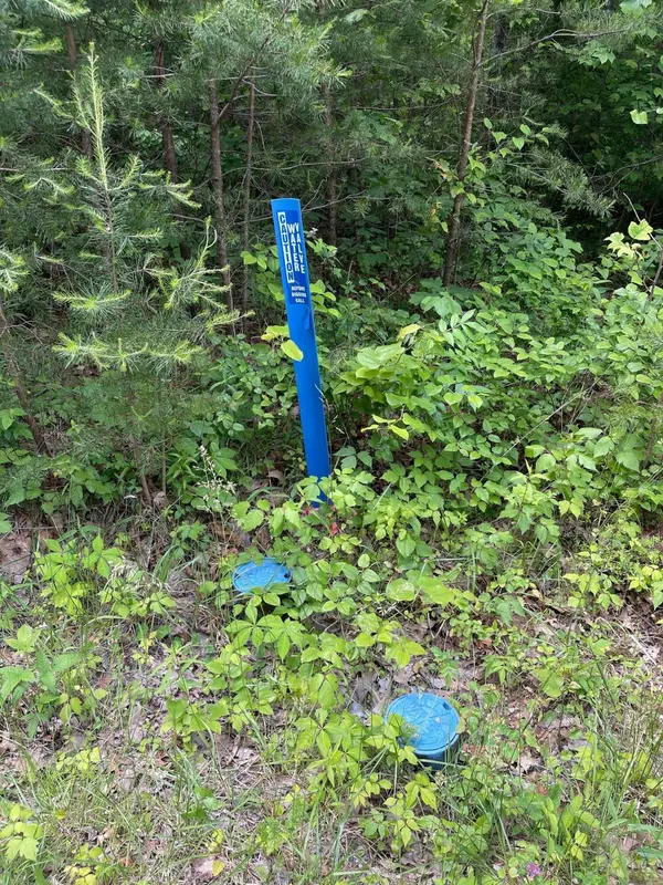 Monteagle, TN 37356,5.7 Acres Marion Grundy Line