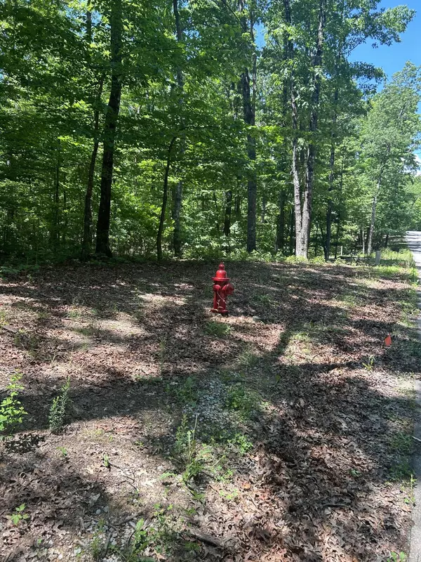 Sewanee, TN 37375,72 Water View LN