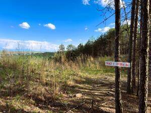 Tract 7 Owl Hollow RD, Mcdonald, TN 37353