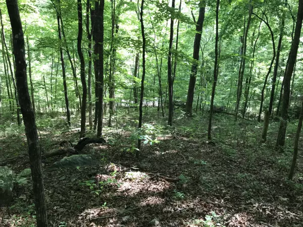 Dunlap, TN 37327,Lot 202 Deep Woods DR