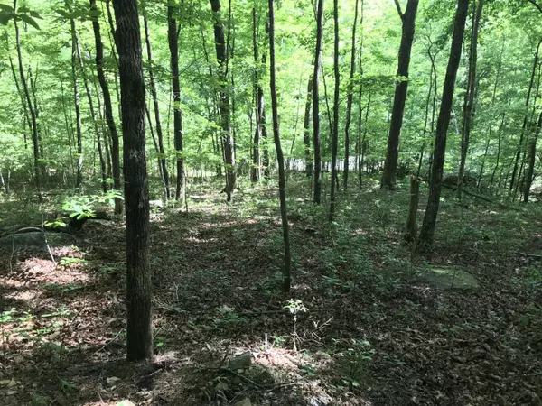 Lot 202 Deep Woods DR,  Dunlap,  TN 37327