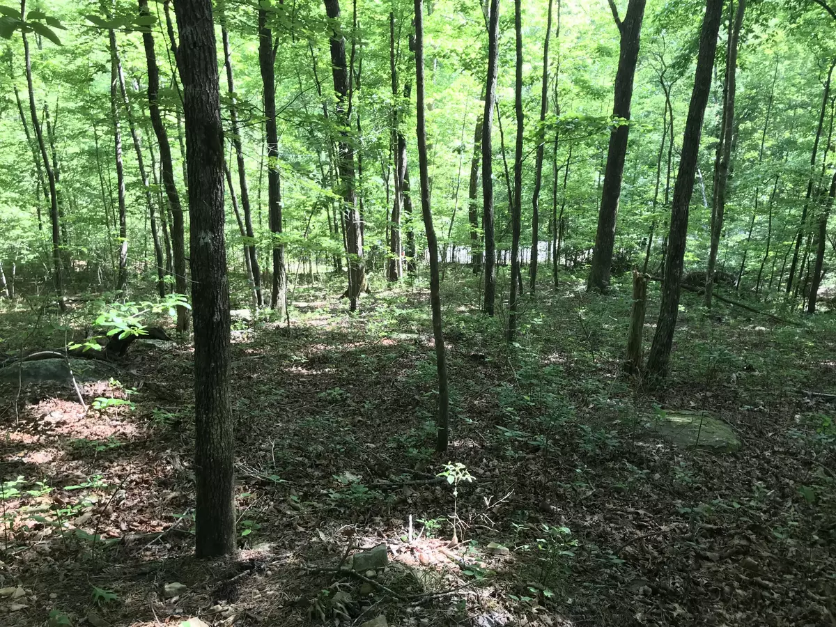 Dunlap, TN 37327,Lot 202 Deep Woods DR