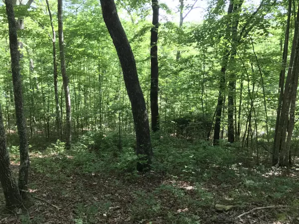 Dunlap, TN 37327,Lot 202 Deep Woods DR