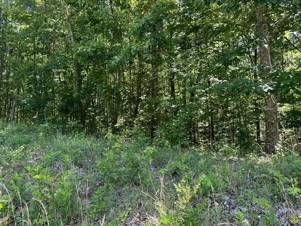 Lot 70 Teludachee Trail,  South Pittsburg,  TN 37380