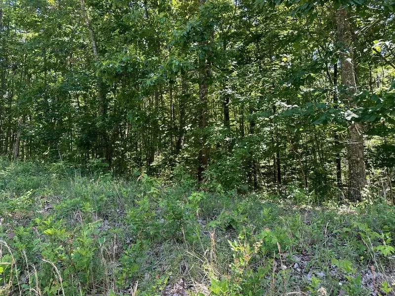 Lot 70 Teludachee Trail, South Pittsburg, TN 37380