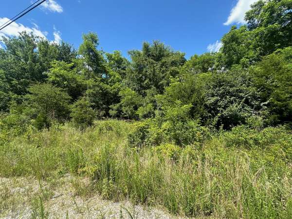 Lot 170 Teludachee Trail, South Pittsburg, TN 37380